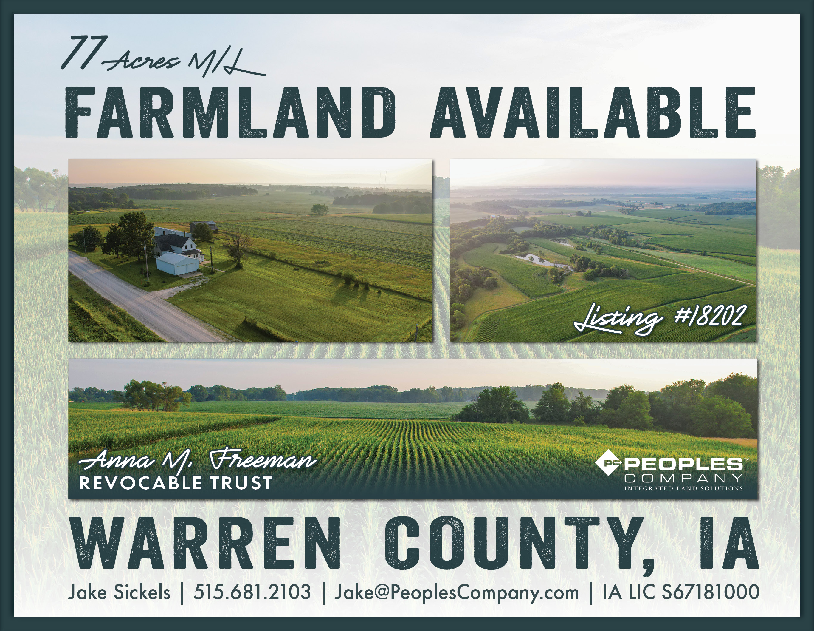 Listing #18202